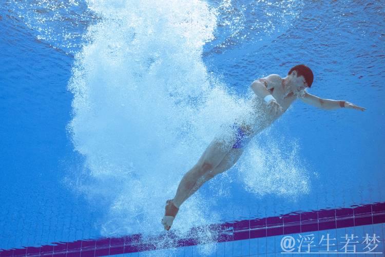 杨烁：跳水1米板表现平淡 难以引发共鸣